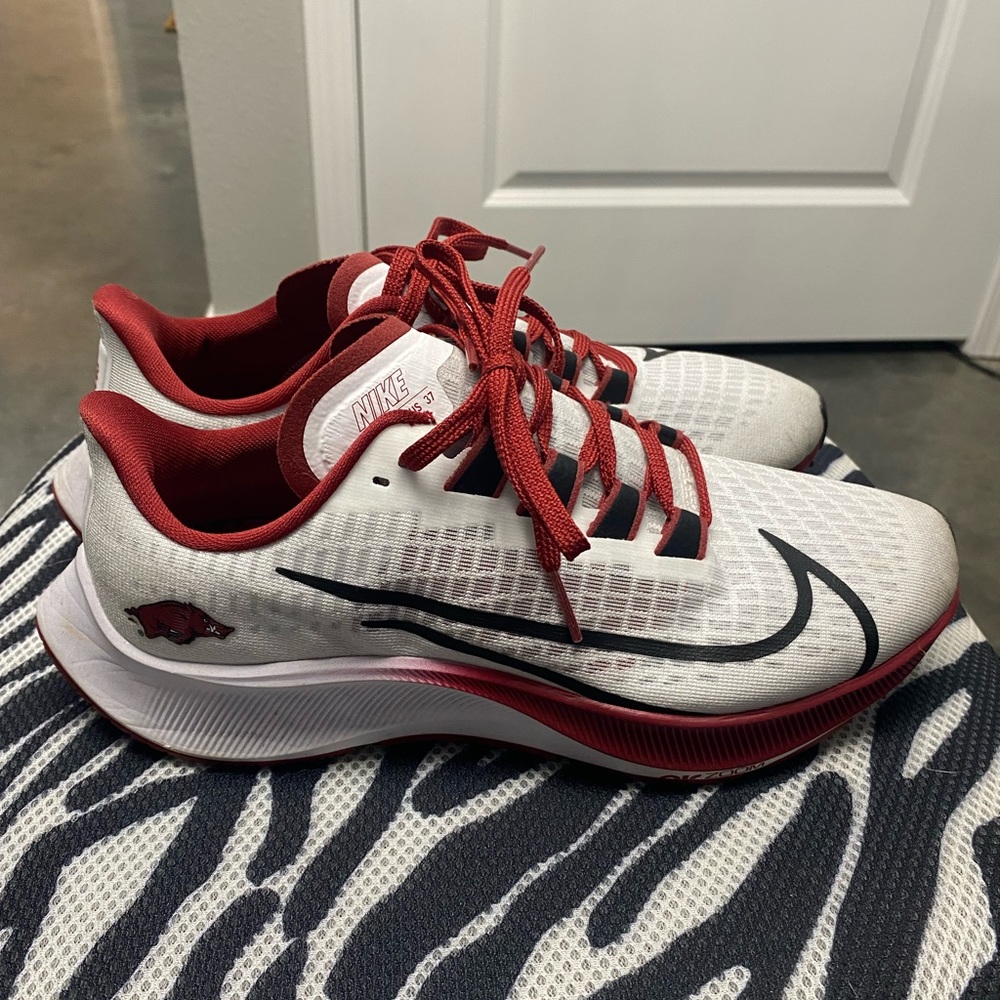 Nike Pegasus 37